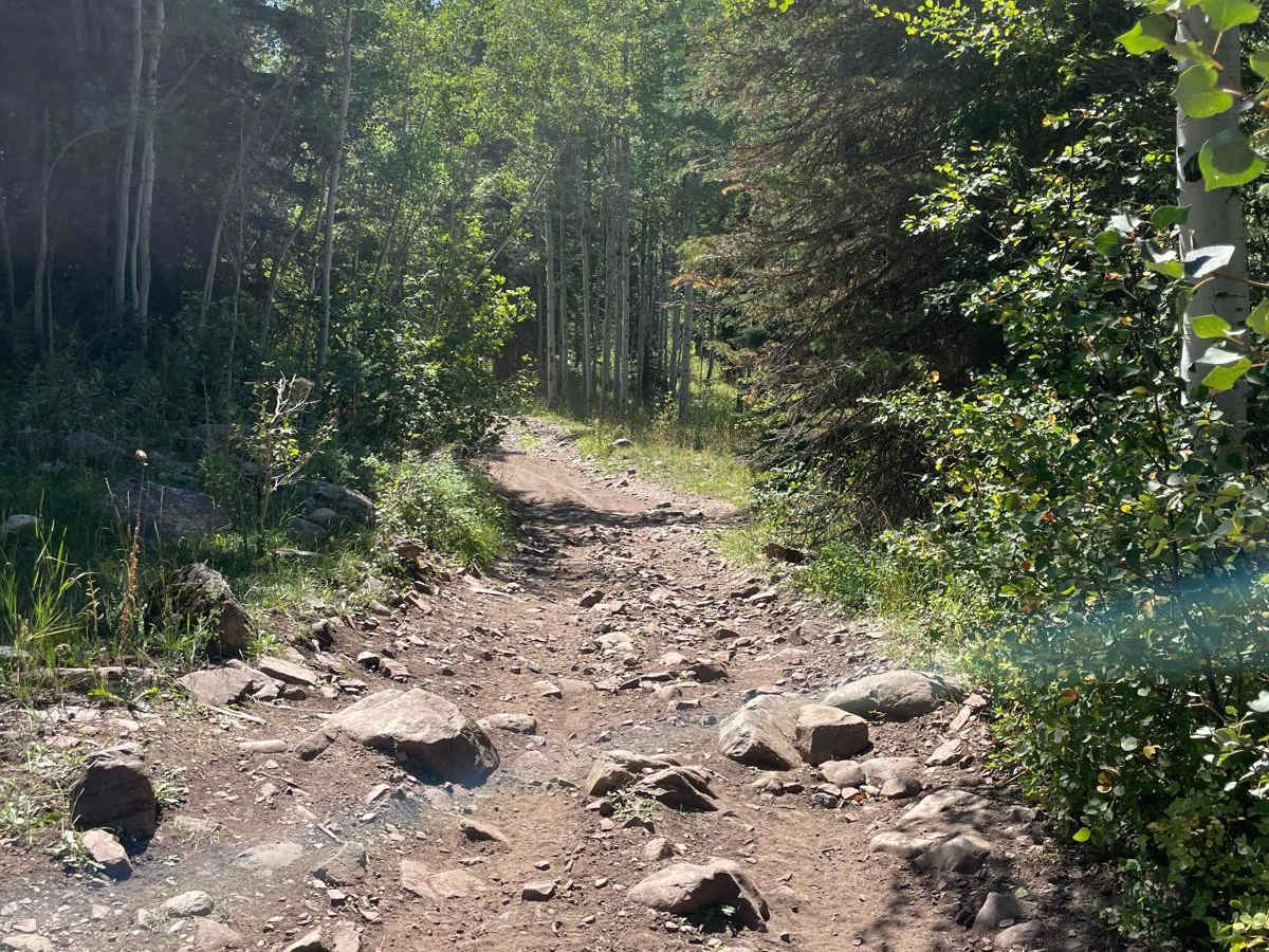 South Fork Weber - FR 031 photo 2