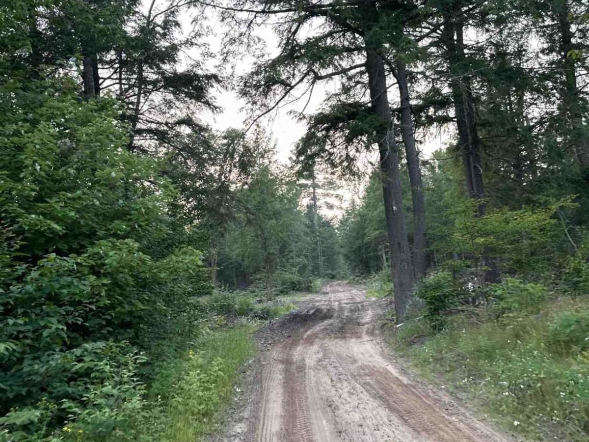 Swamp Lakes photo 2