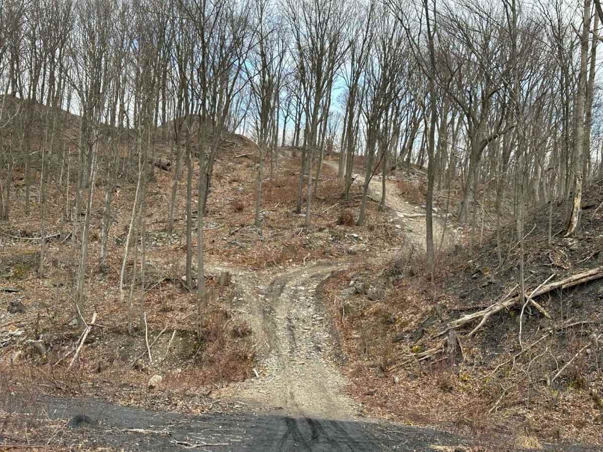 Ashland 65 trail photo