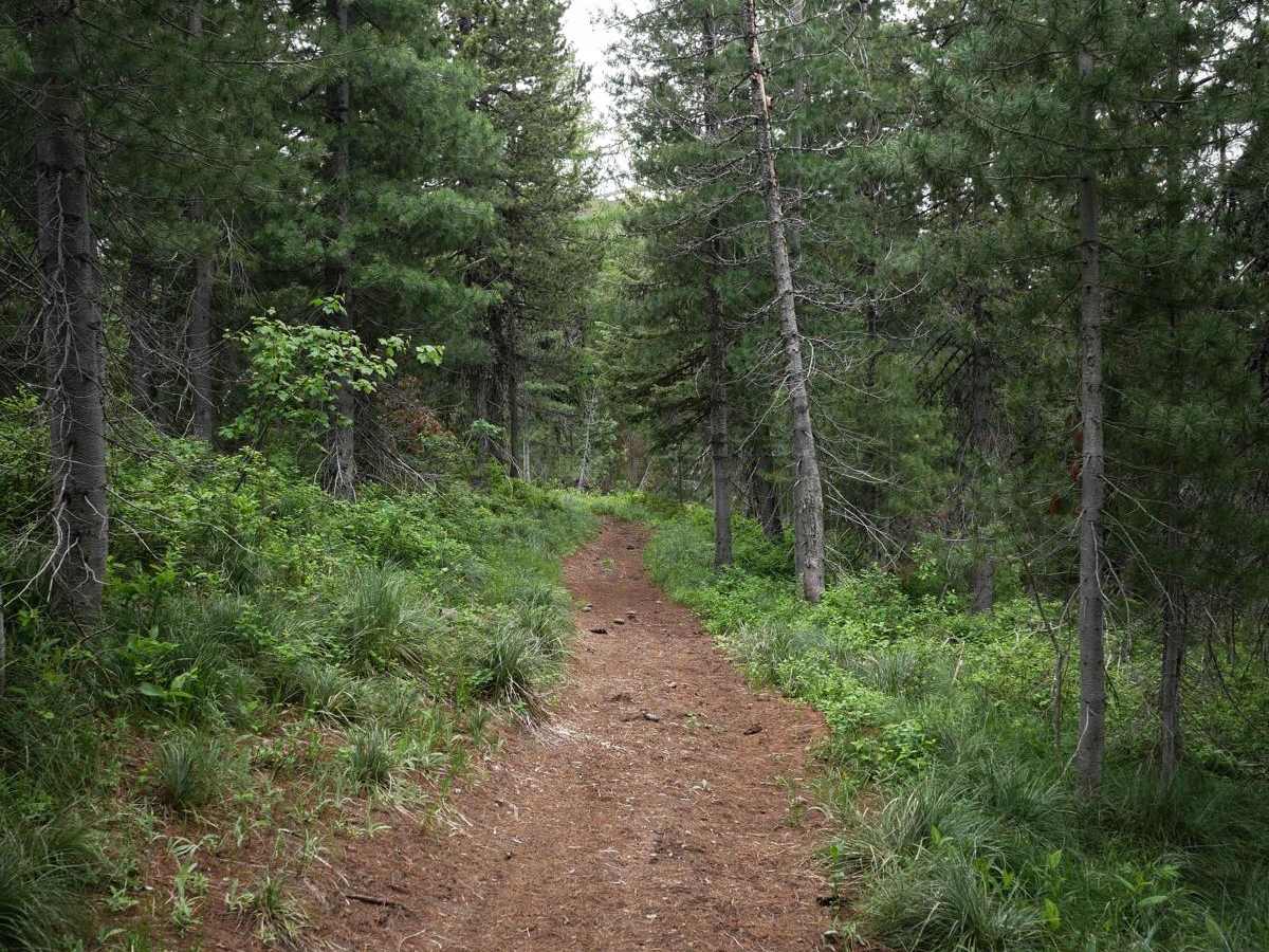 Flume Ridge ATV photo 4