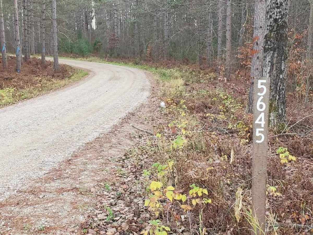 FS 5645 trail photo