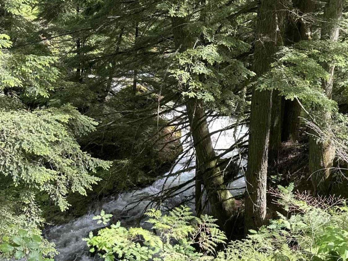 Wap Lake FSR photo 3