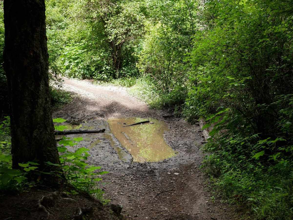 Trail 10 photo 6