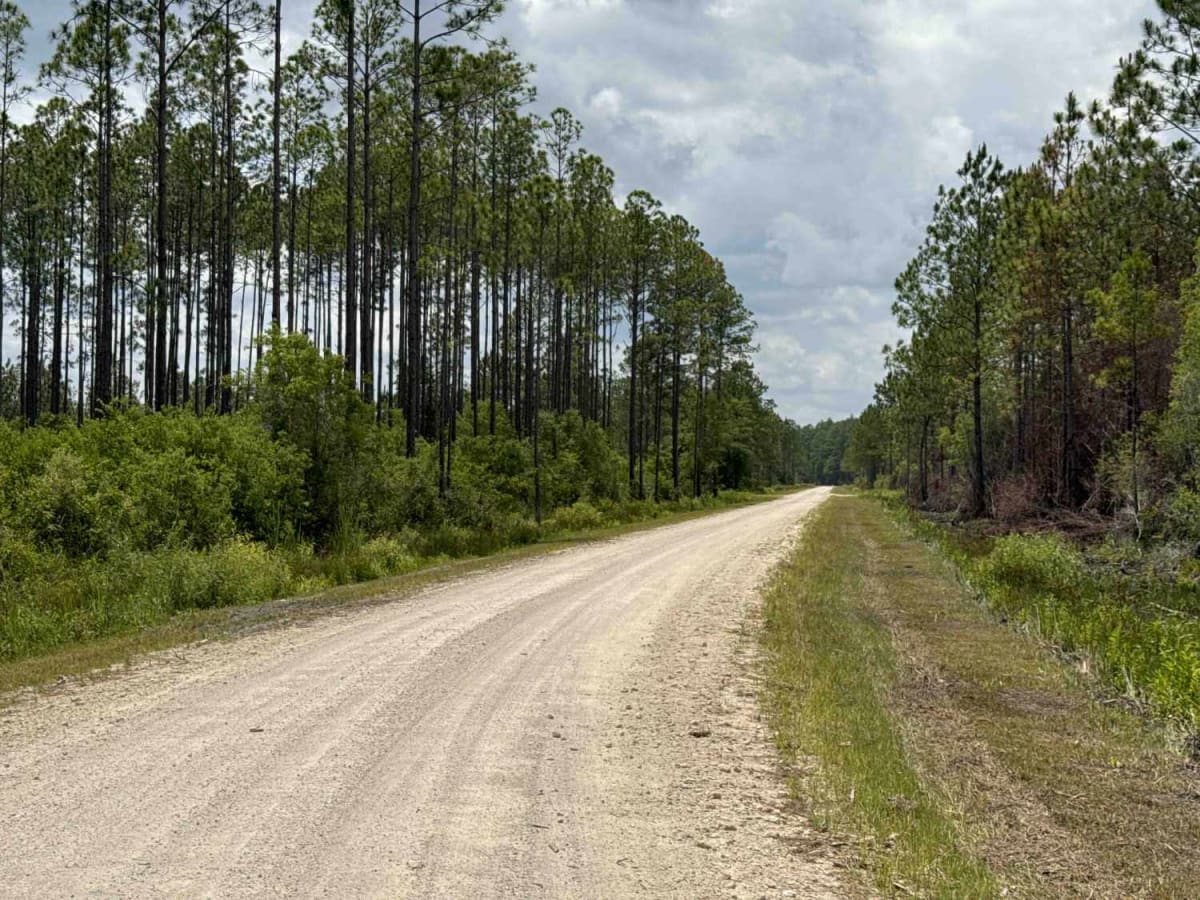 Rock Landing Road photo 5
