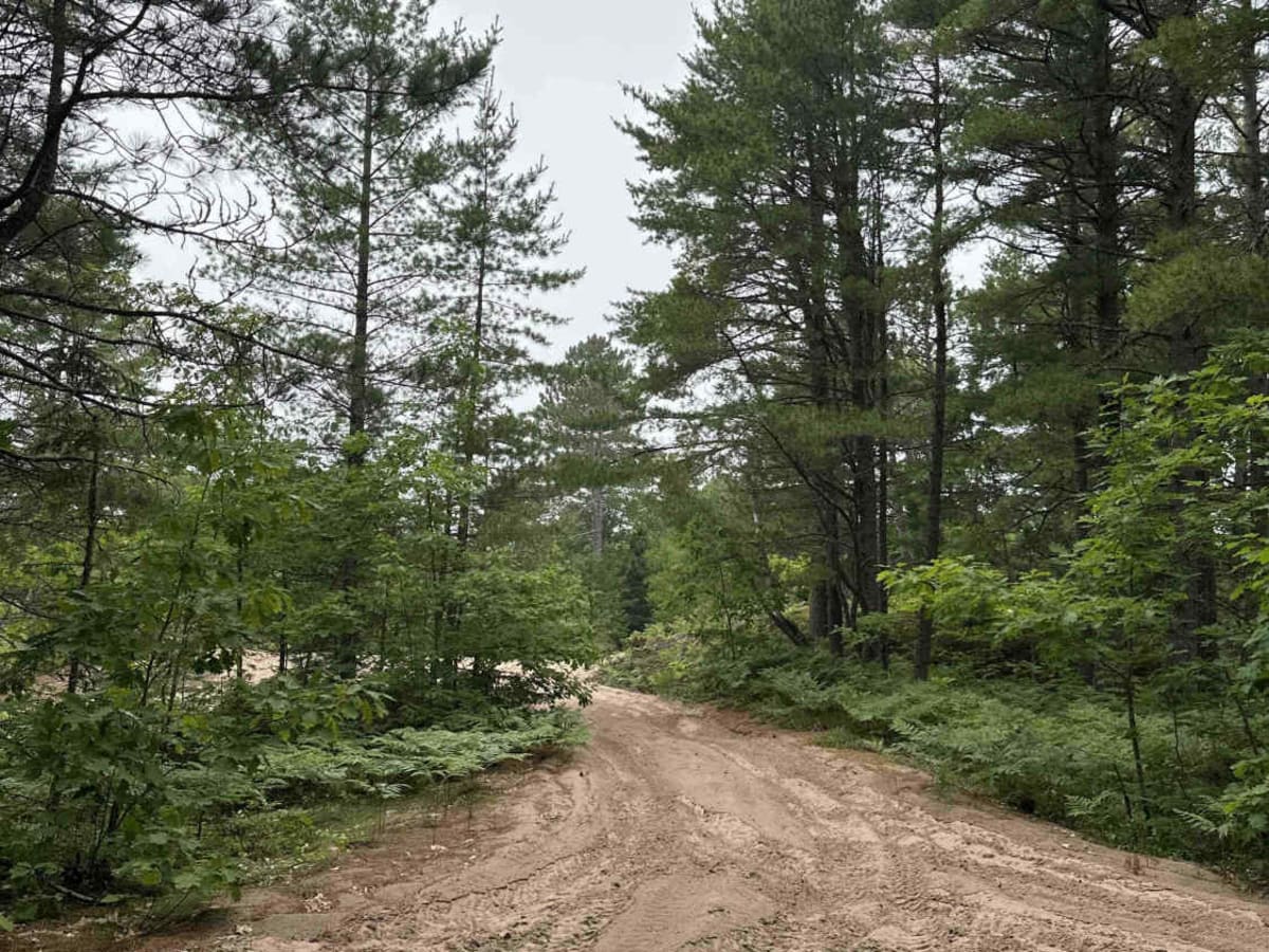 Dunes trail photo