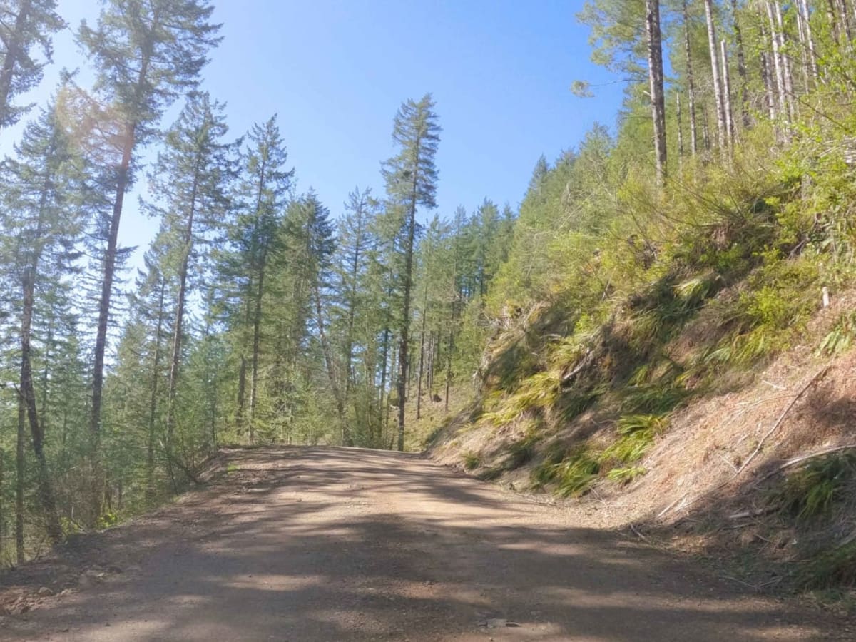 Cedar Butte Road photo 2