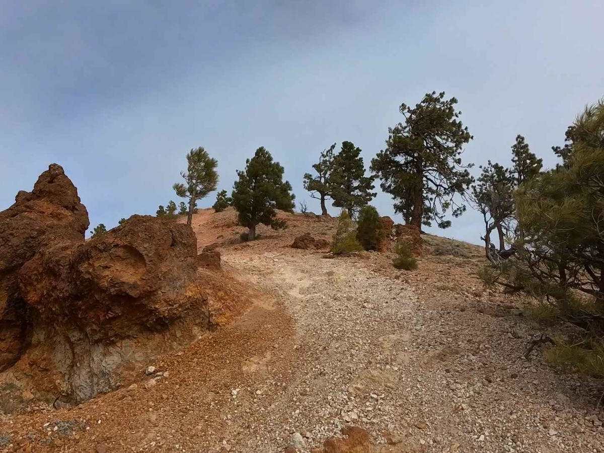 Headliner Trail photo 6