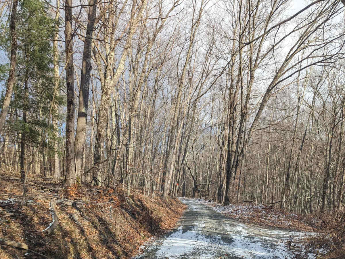 Shaughnessy Road trail photo