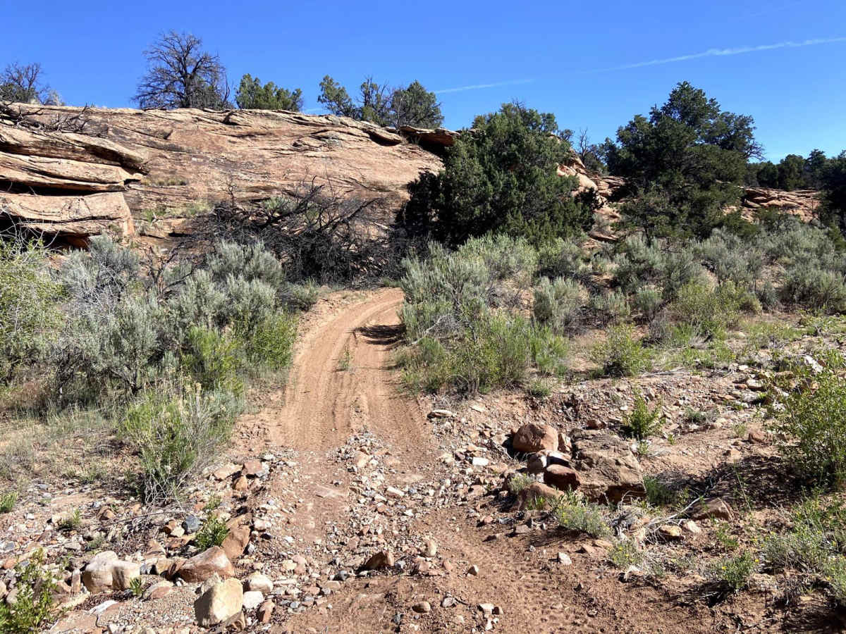 BLM Route 017 photo 5