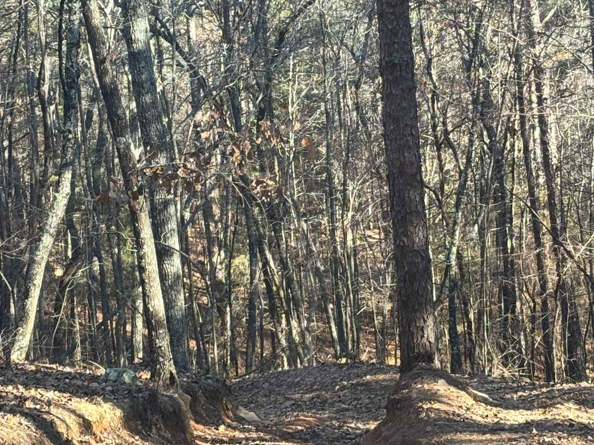 40 trail photo