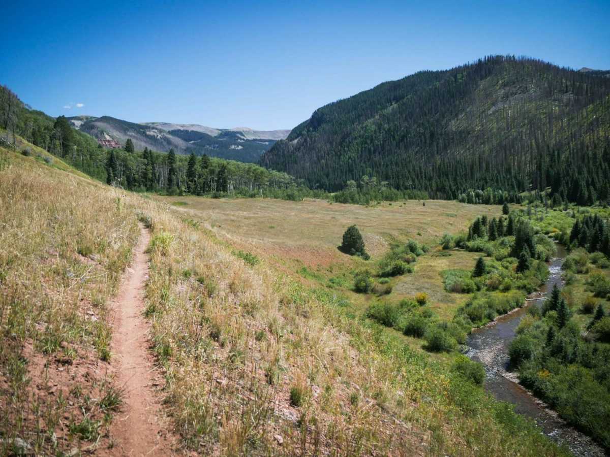 Bear Creek Trail photo 3