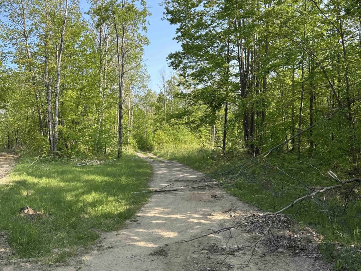 FS 4579 photo 2