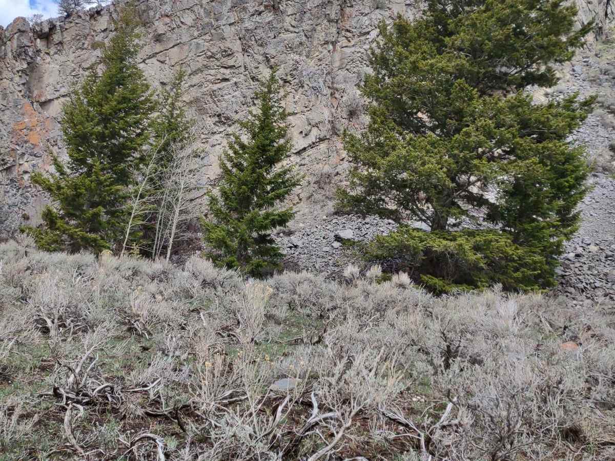Wood Canyon to Arco Pass photo 3