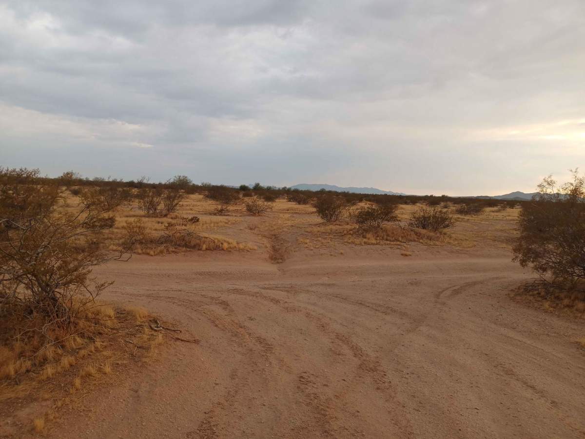 Barnes BLM Inlet trail photo