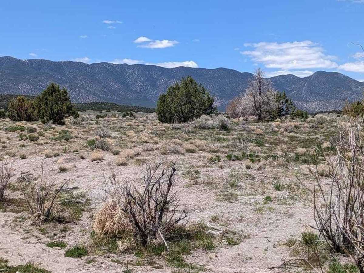 Baudino Ranch Road North photo 4