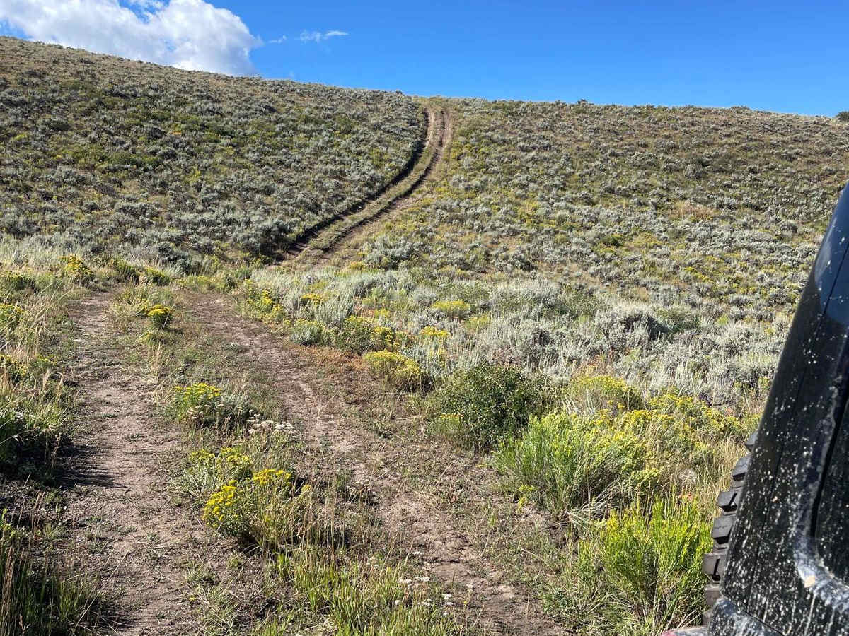 Mumford Gulch Trail photo 5