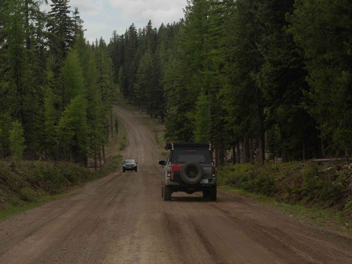 Pomeroy Grouse Flat #40 (#2) photo 5