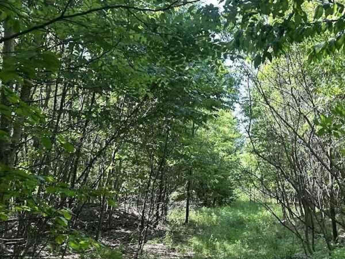 5A trail photo