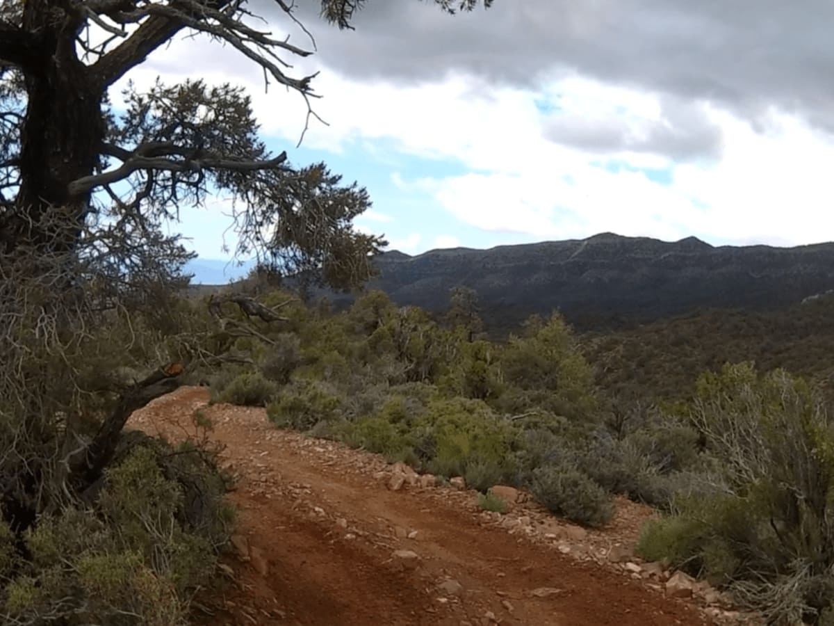 Spring Mountain Recreation Area - Side Trail 01 trail photo