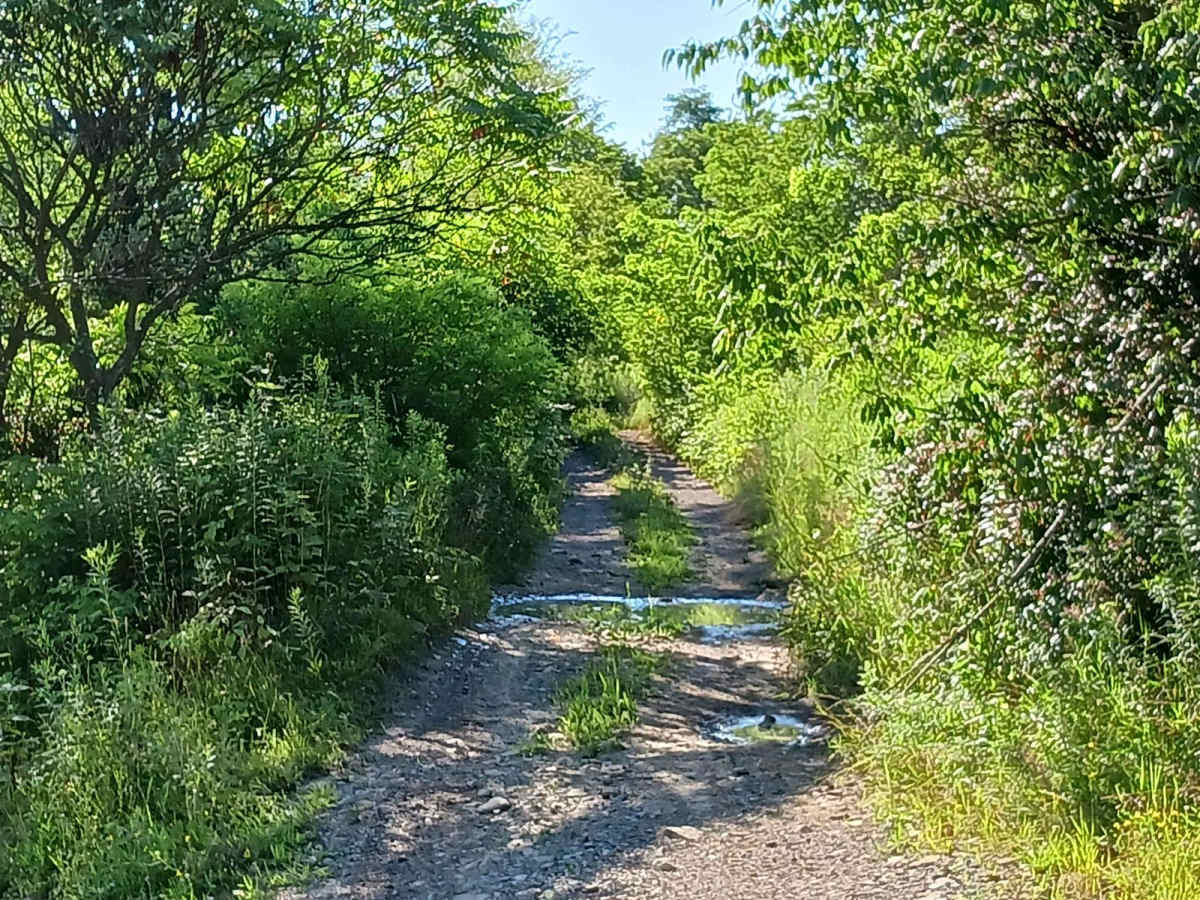 Trail 12Q - Rock Run Recreation Area photo 2