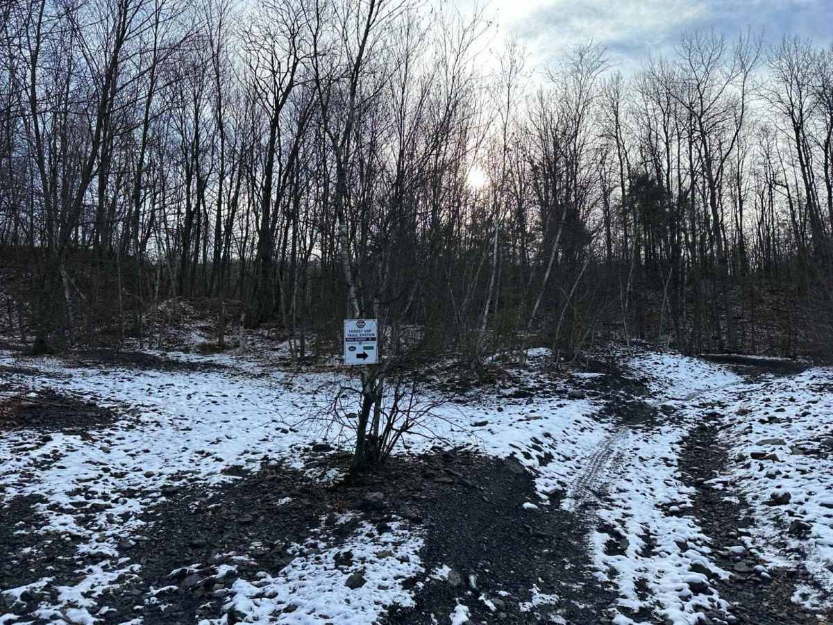 Locust Gap 5 photo 4