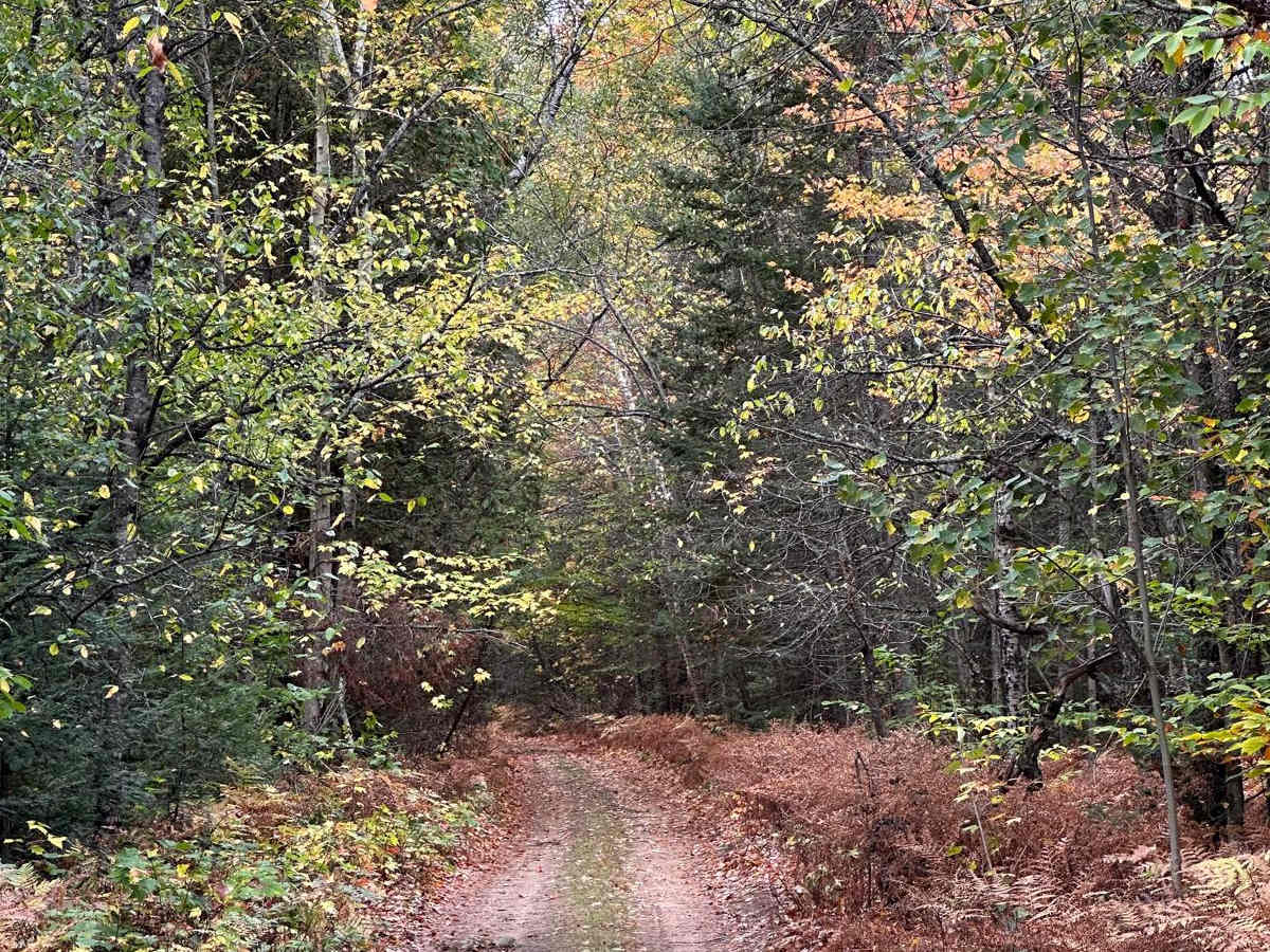 South Mott - FS 2793 photo 4