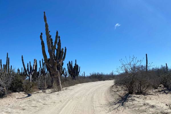 South of Reforma Agraria