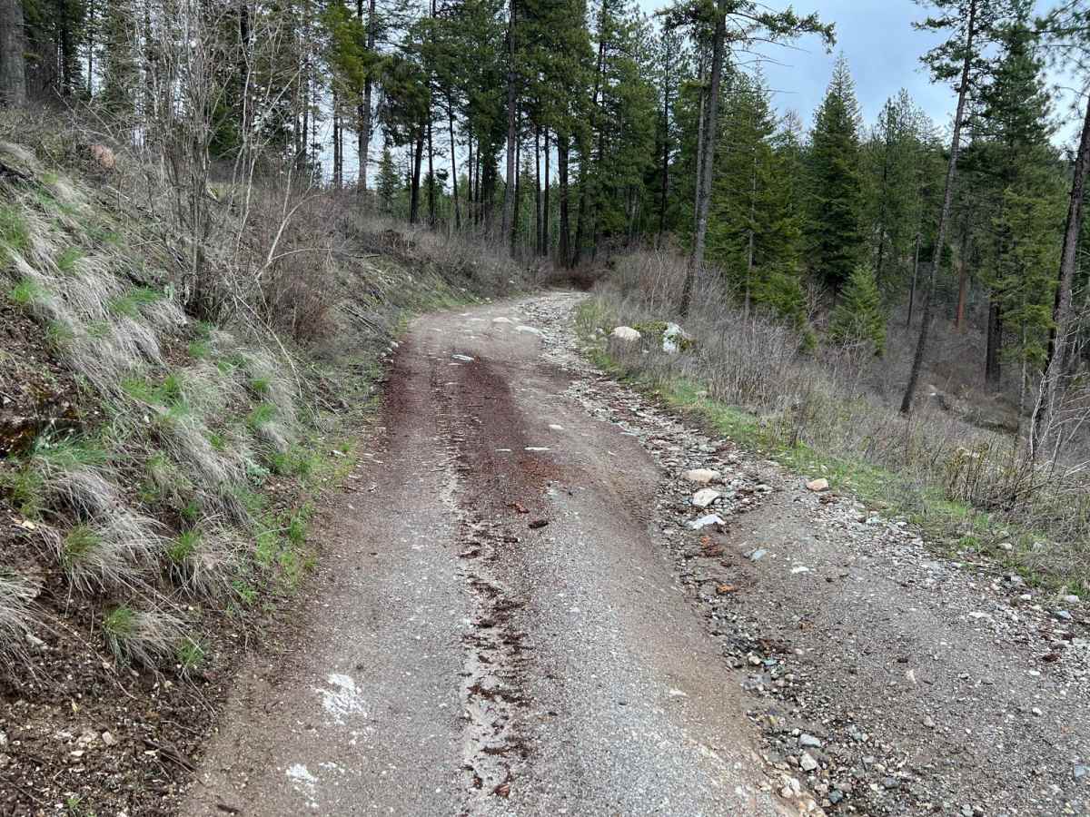Cape Horn Mountain photo 3