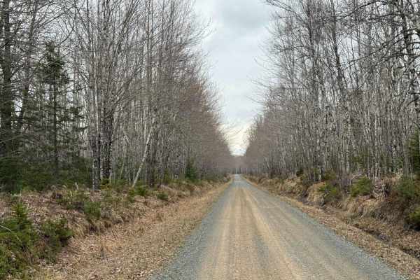 Straight Road Trail