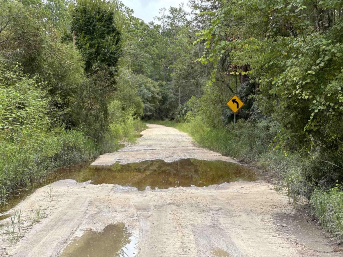 Ocklawaha Trail - ONF SE24ST photo 6