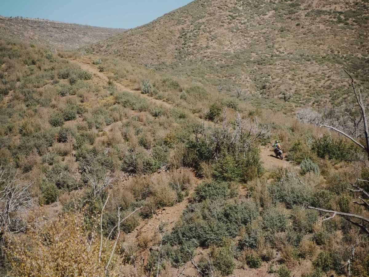 Little Wolf trail photo