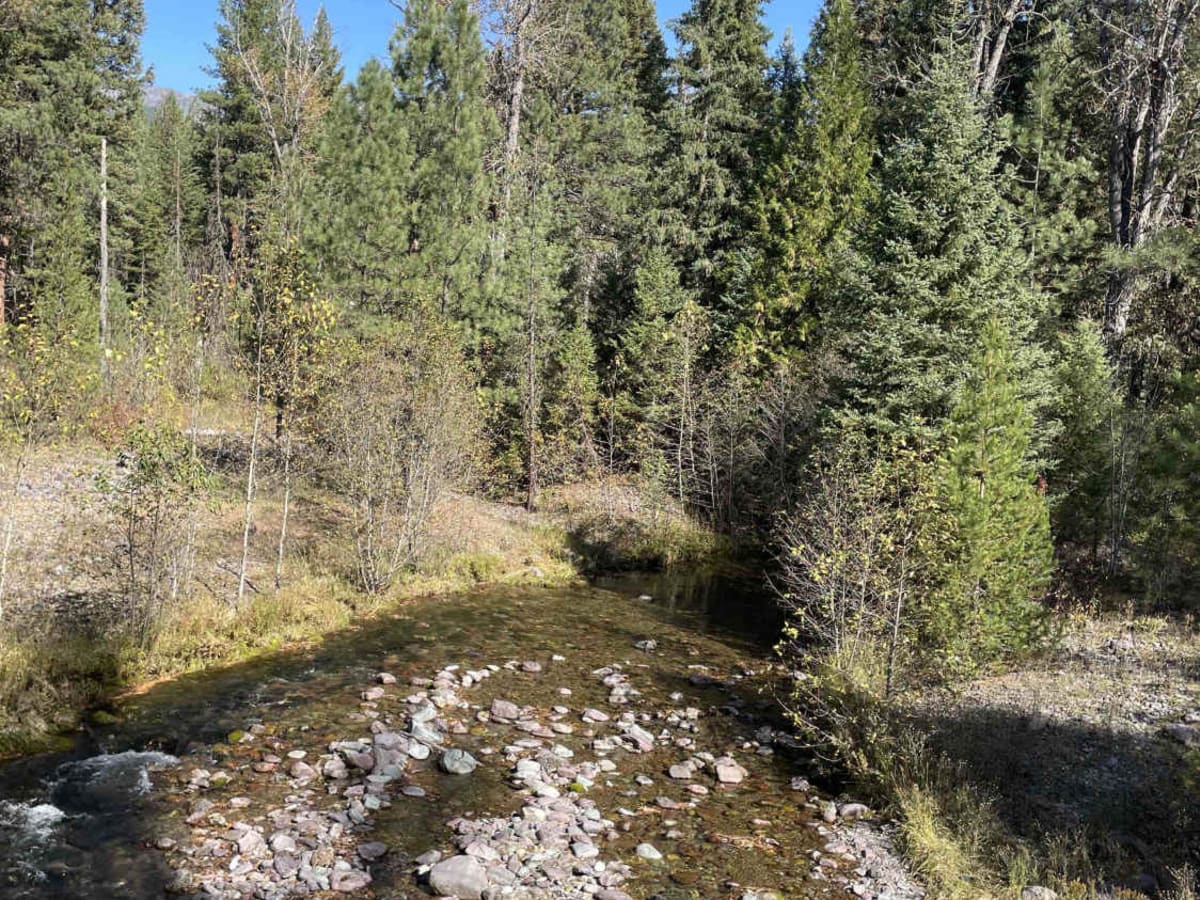 St. Marys Lake/Twin Lake Road photo 5