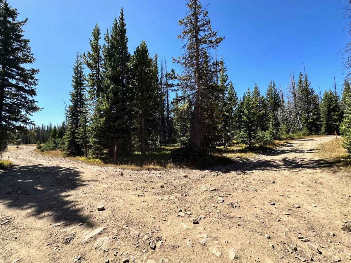 Libby Flats Road 336 photo 4