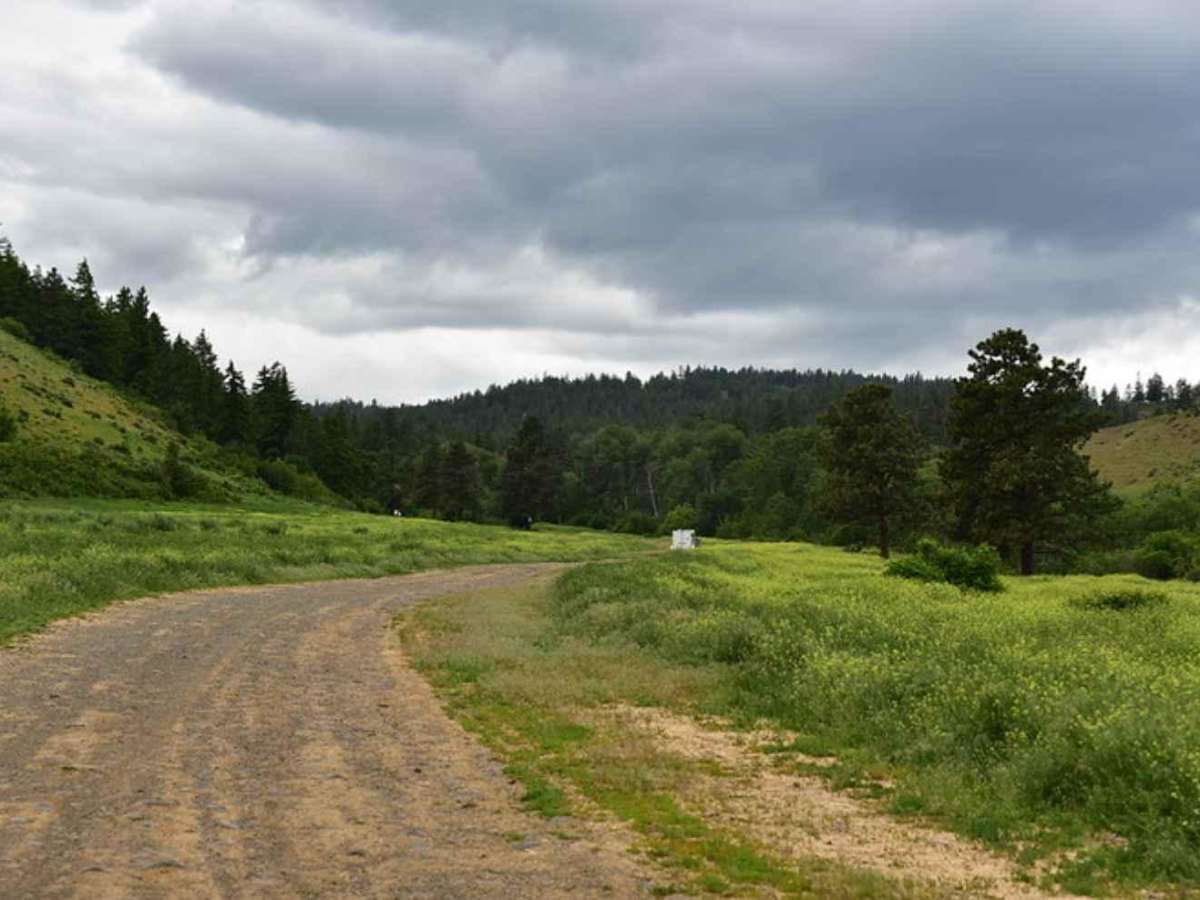 Tamarack Ridge Road photo 5