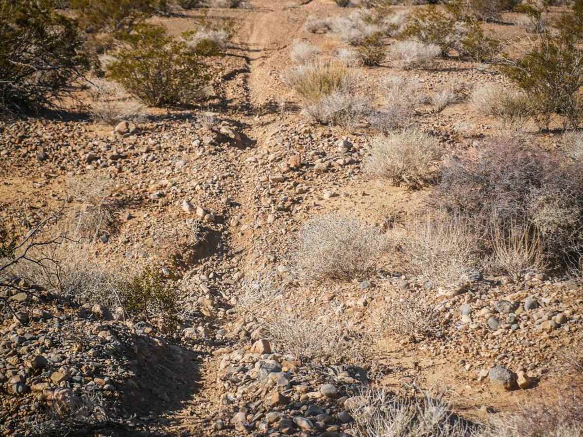 Pants Trail East photo 3