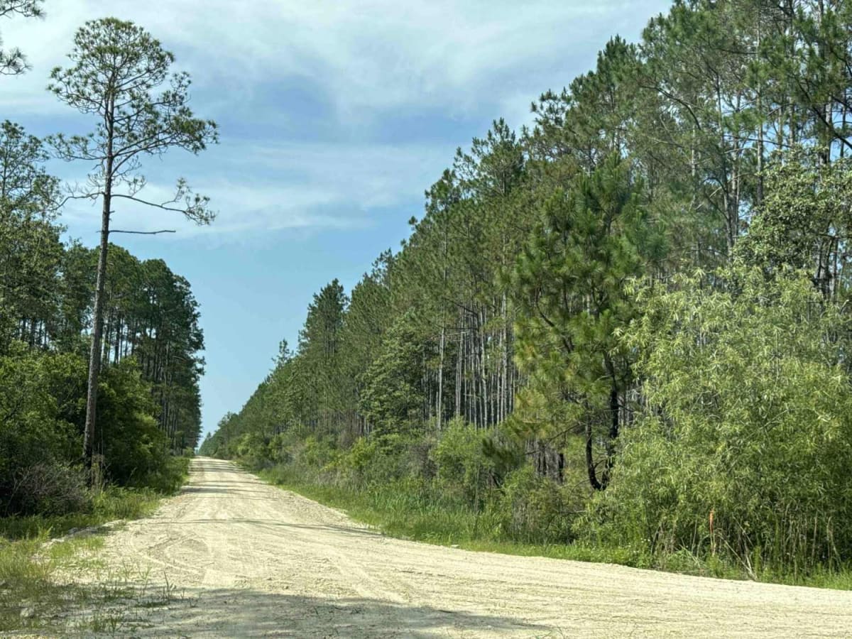 Whiskey George Road trail photo