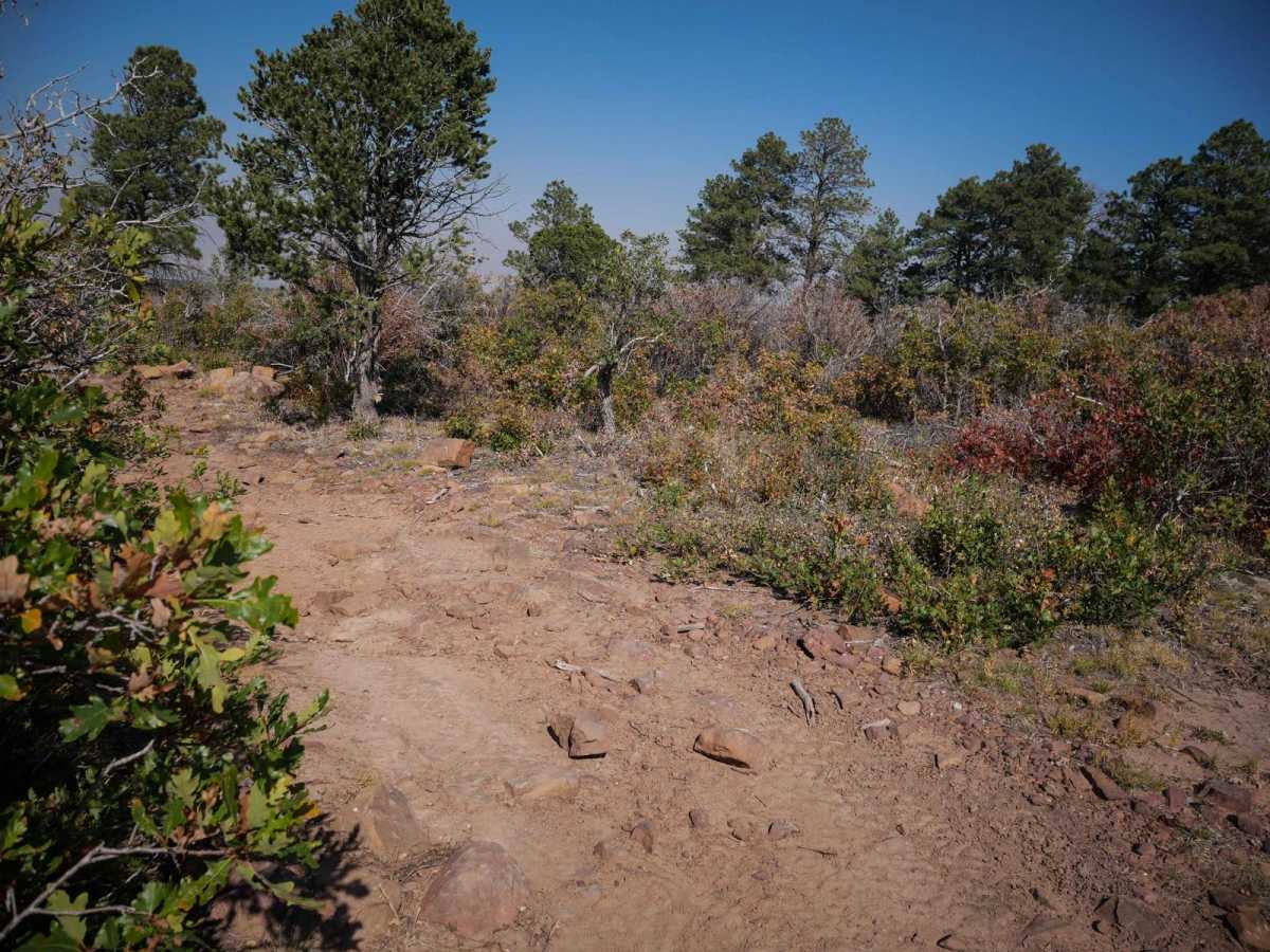 Spring Creek Spur A ATV Trail photo 3