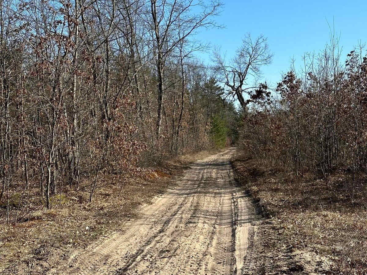 Small Road photo 5