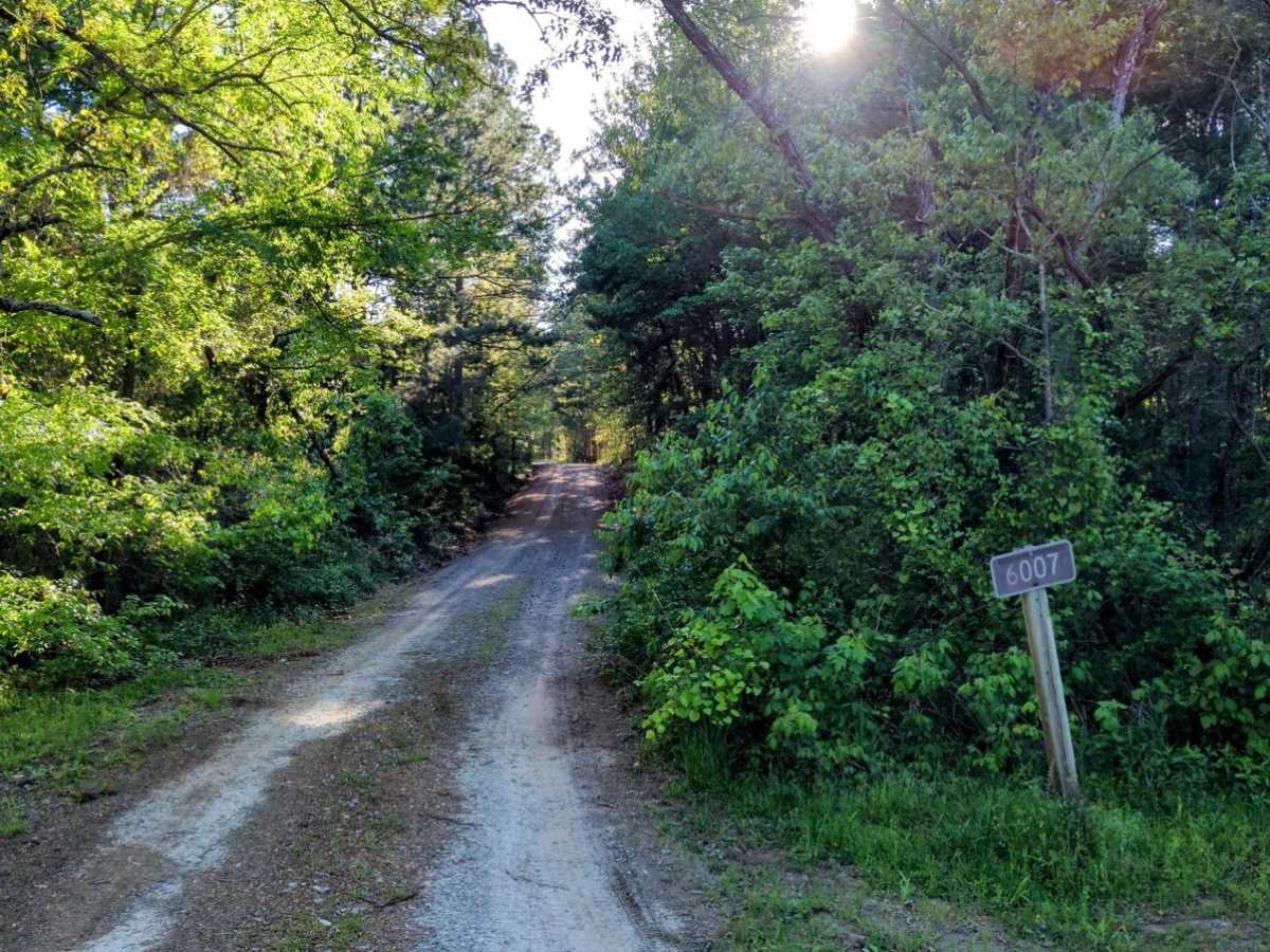 Page Smithville Route: OHV Trail 6007 photo 3