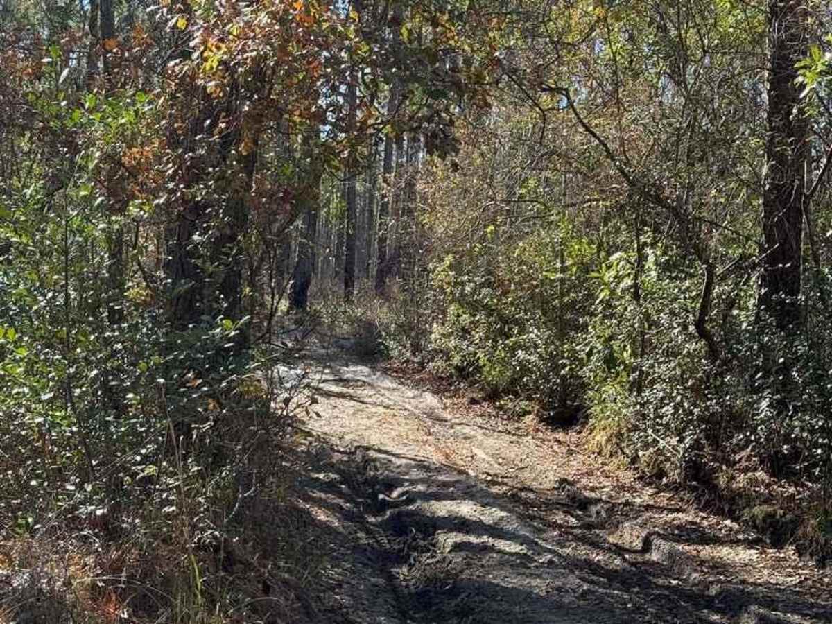 Pettiford Creek Eastern Entrances photo 5