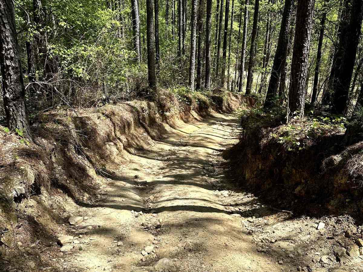 Trail 1 photo 4