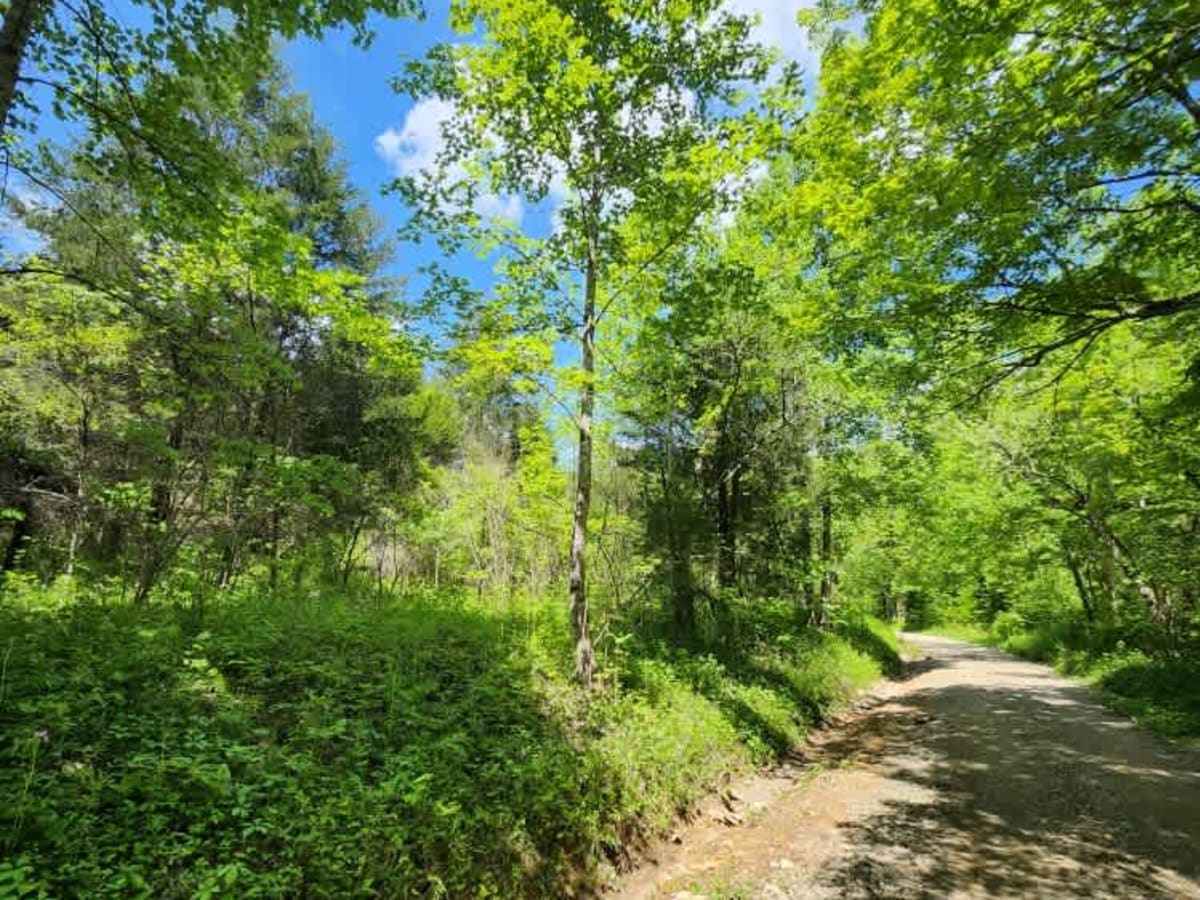 Abner Run Road photo 6