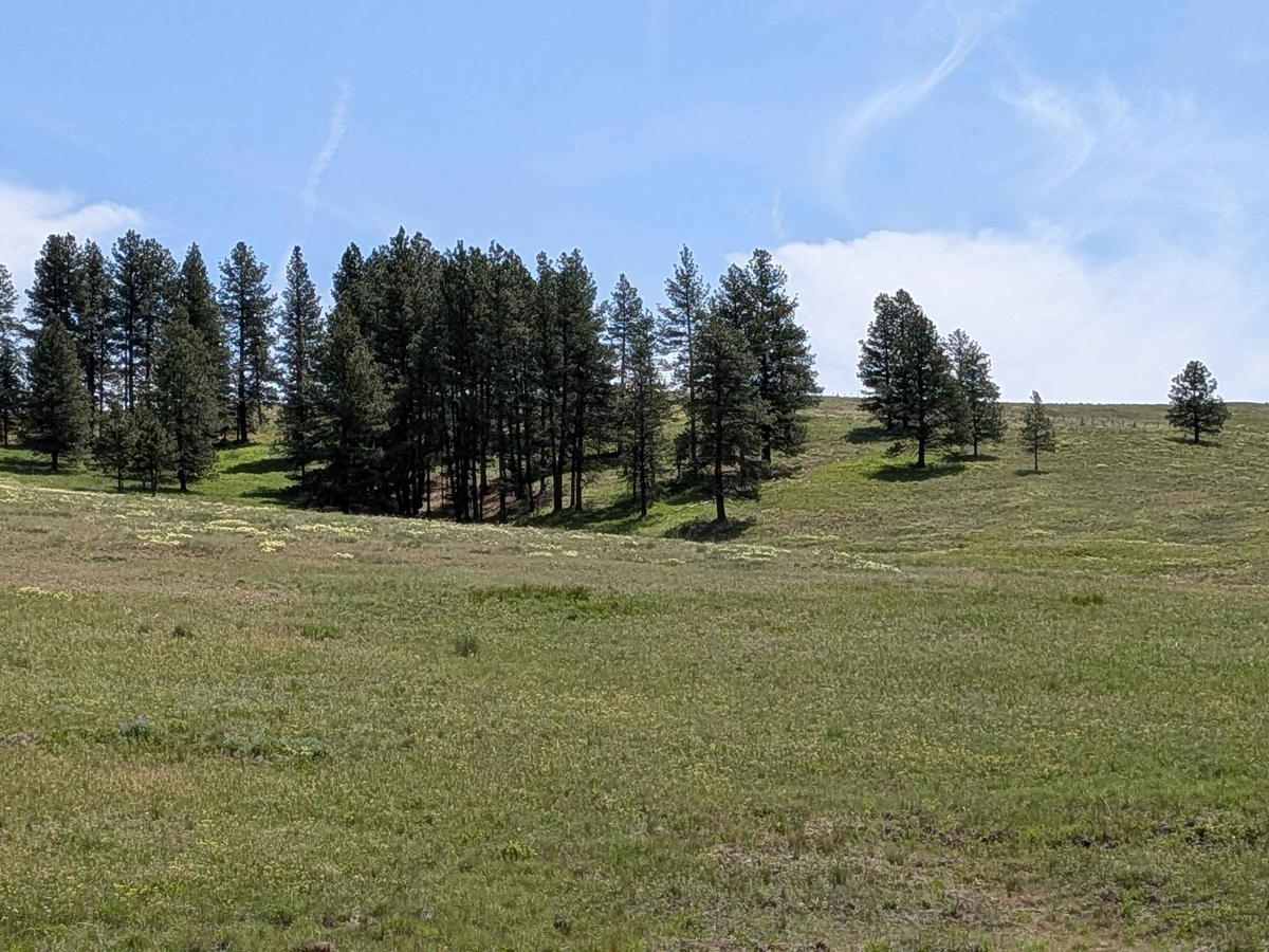 Wellamockin Road South NF46 photo 6