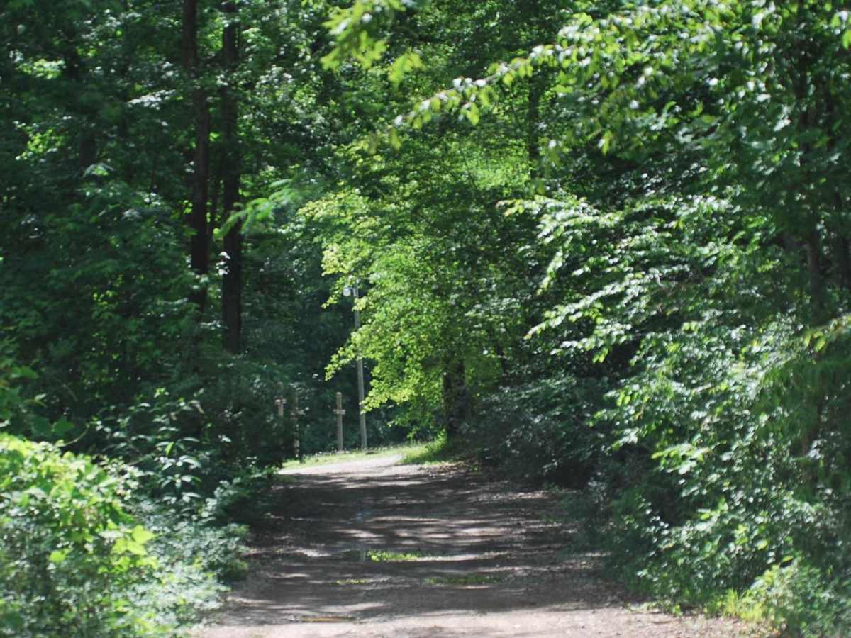 Trail G23 Windrock Park photo 5