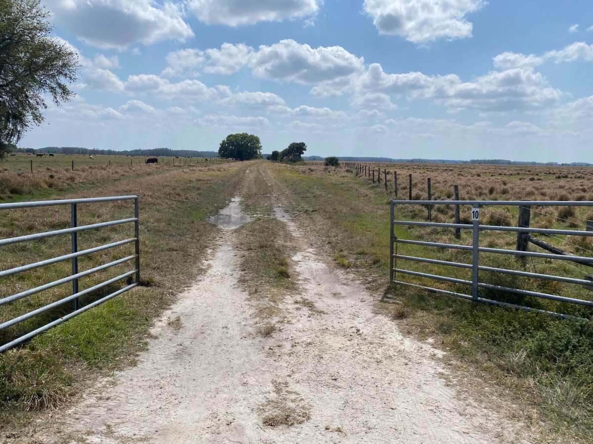 Road 10 trail photo