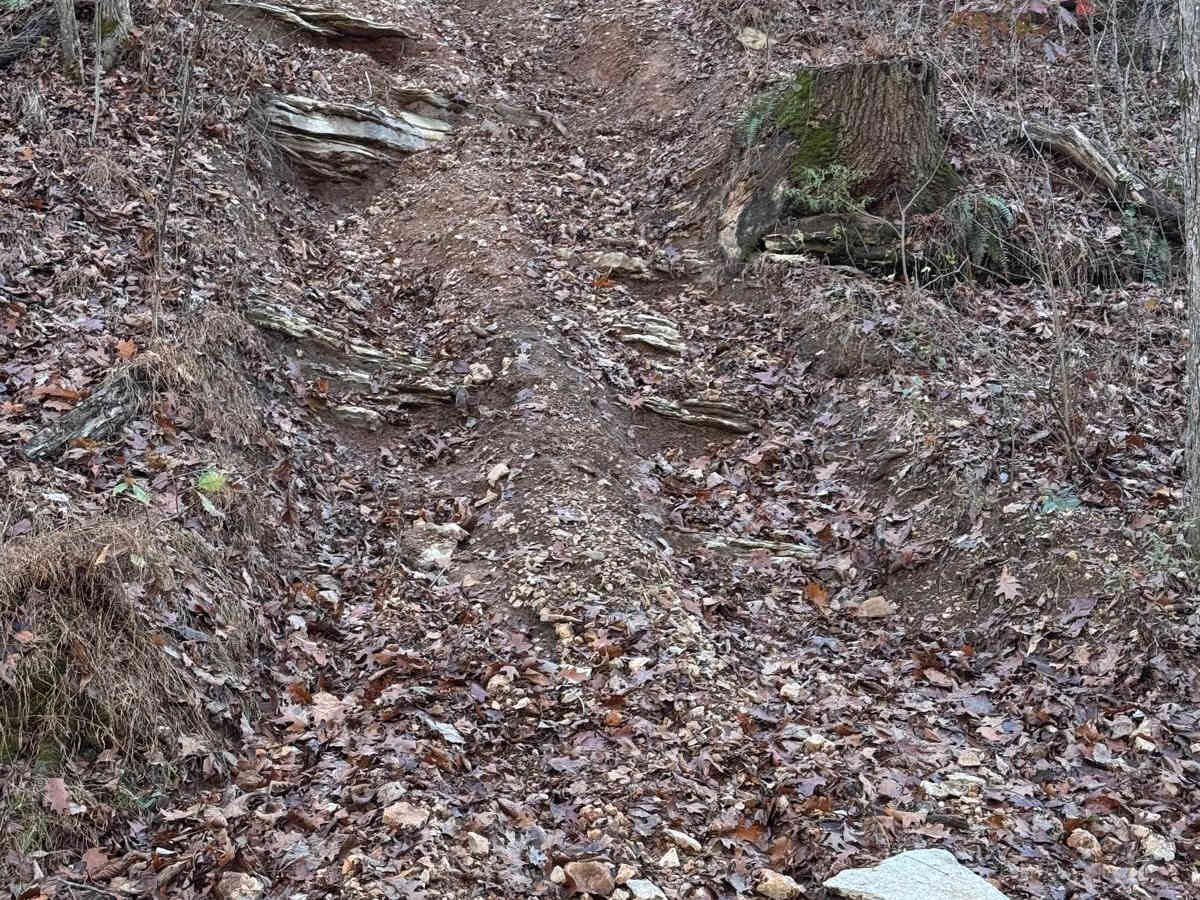 Terrible Twos 147 trail photo
