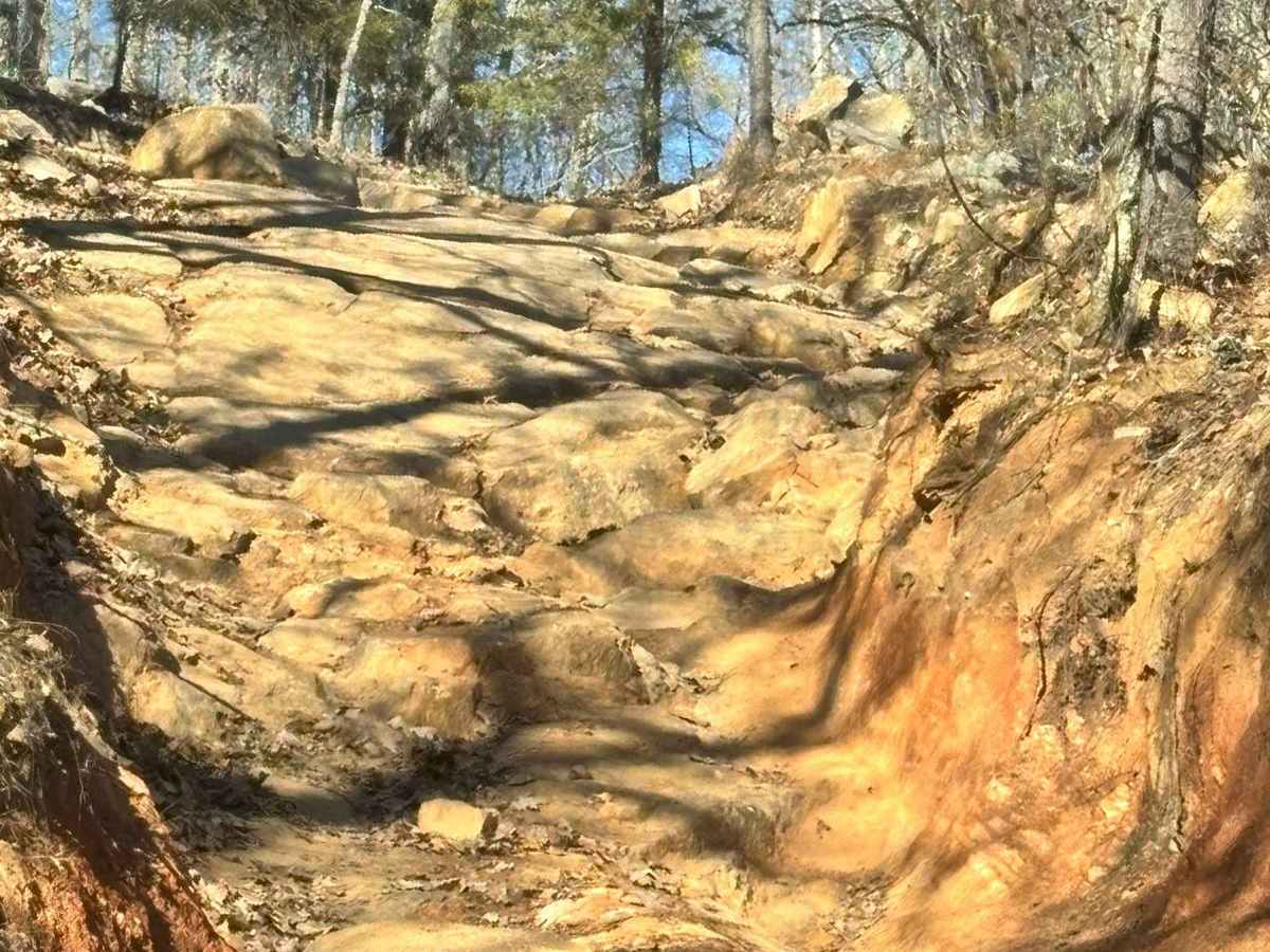38 trail photo