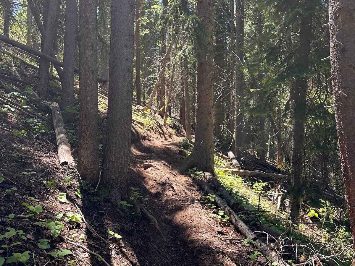 Green Gate Trail photo 6