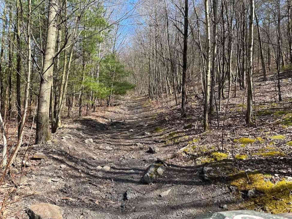 St. Keirns 89 trail photo