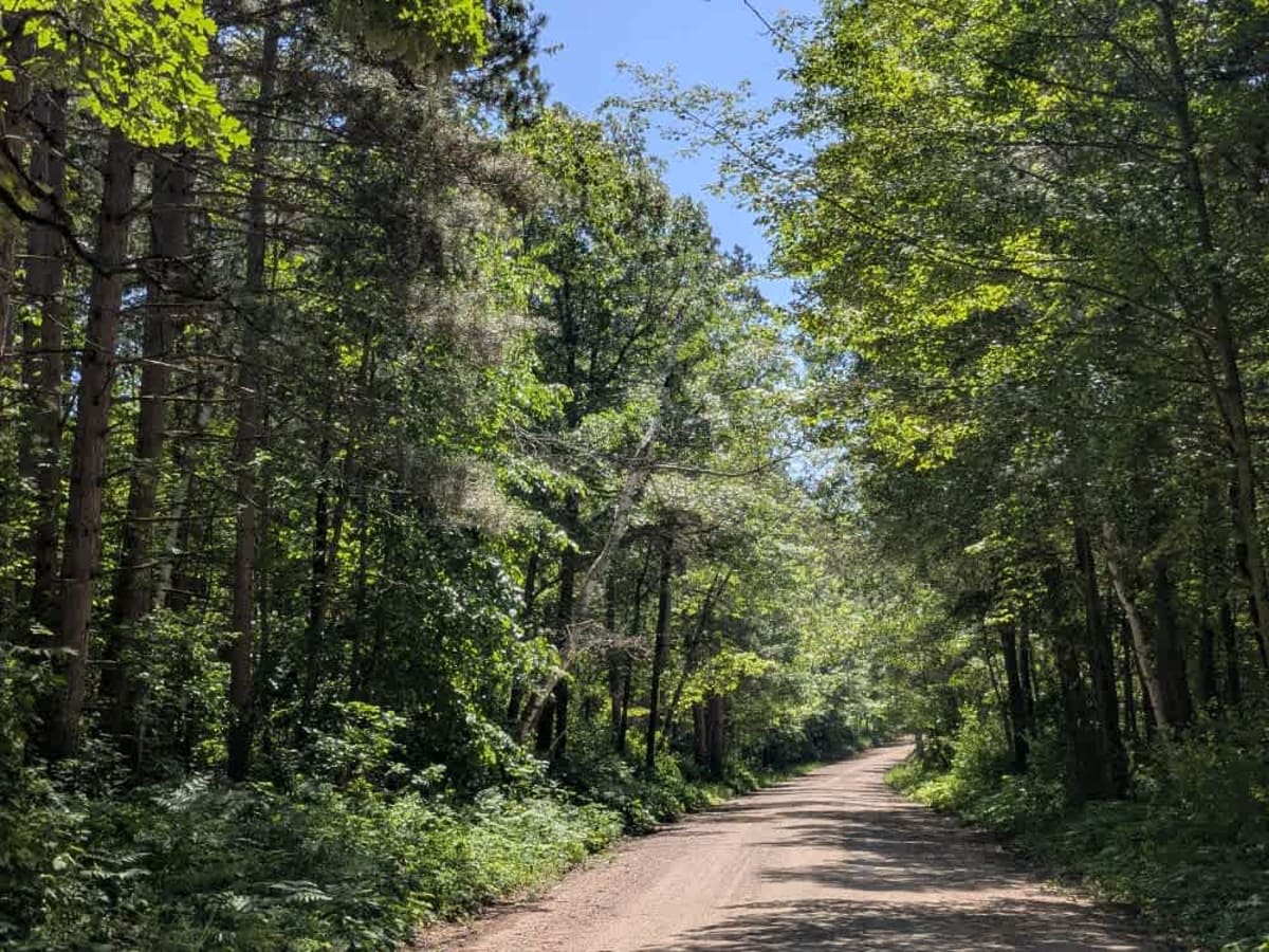 3691 trail photo